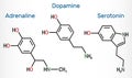 Serotonin molecule. It is monoamine neurotransmitter, neuromodulator, medication. Skeletal chemical formula Royalty Free Stock Photo