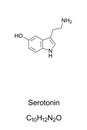 Serotonin molecule, skeletal formula