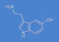 Serotonin neurotransmitter molecule. Skeletal formula.