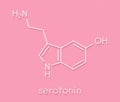 Serotonin neurotransmitter molecule. Skeletal formula.