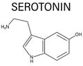 Serotonin neurotransmitter molecule. Skeletal formula. Chemical structure