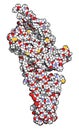 Serotonin receptor 5-HT2B protein. Shown in complex with an LSD molecule. Involved in drug-induced valvular heart disease. 3D