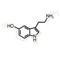 Serotonin vector icon