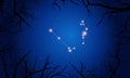 Serpens constellation. Tree branches, starry sky