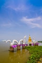 Serpent at big swamp or big lake, name is Gwarnpayao, Payao . Royalty Free Stock Photo