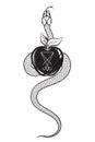 Serpent with the forbidden fruit from the tree of knowledge with the sigil of Lucifer line art and dot work. Boho chic tattoo, Royalty Free Stock Photo