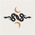 Serpent and moon vintage paper hand drawn illustration spiritual mystic clipart design