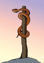 The serpent on the pole. Vector drawing