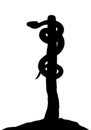 The serpent on the pole. Vector drawing