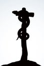 The serpent on the pole. Vector drawing