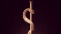 Serpent Rod Modern Commercial Medicine Rod of Asclepius Snake Spiral Staff Pharmacy Symbol