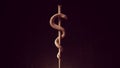 Serpent Rod Modern Commercial Medicine Rod of Asclepius Snake Spiral Staff Pharmacy Symbol
