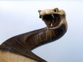 Serpent wood carving Royalty Free Stock Photo