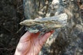 Raw serpentinite metamorphic rock in a hand.