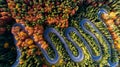 Serpentine details - aerial view of winding forest road in the mountains. Colourful landscape with rural road, trees with yellow l