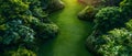 Concept Lush Gardens, Serene Pathways, Green Serpentine Green Tranquility Lush Garden Paths