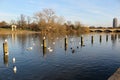 The Serpentine Lake in Hyde Park Royalty Free Stock Photo