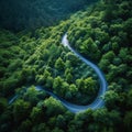 Serpentine path weaves through lush woodland in captivating aerial perspective