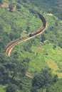 Serpentine railway track Royalty Free Stock Photo