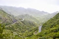 Serpentine road in the mountains of north of Tenerife. Park Rural de Anaga, Canary island, Spain. Rainy weather and low clouds. Royalty Free Stock Photo