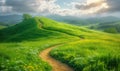 Serpentine trail on a lush green hill