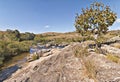 Serra da Canastra National Park Royalty Free Stock Photo