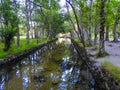 Crystal clear waterway and forest.