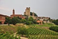 Serralunga Alba, Langhe, South Piemonte, Italy Royalty Free Stock Photo