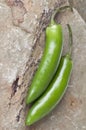 Serrano Pepper