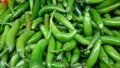 Serrano pepper, Capsicum annuum Royalty Free Stock Photo