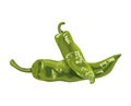 serranos chillis hot vegetables Royalty Free Stock Photo