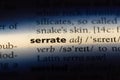 serrate Royalty Free Stock Photo