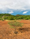 Sertao landscape in the countryside of Oeiras, Piaui Northeast Brazil