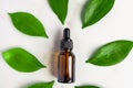 Serum bottle with dropper in frame from green tropical leaves on marble background. Aromatherapy oil. natural beauty product for Royalty Free Stock Photo