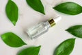 Serum bottle with dropper in frame from green tropical leaves on marble background. Aromatherapy oil. natural beauty product for Royalty Free Stock Photo