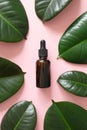 Serum bottle with dropper in frame from green tropical leaves on pink background. Aromatherapy oil. Vitamin fluid natural beauty