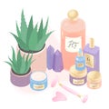Serum,creams,perfume,face massage tools and aloe  illustration set Royalty Free Stock Photo