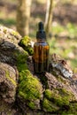 Serum glass bottle with dropper on moss and tree bark natural background. Natural organic Spa cosmetic concept Royalty Free Stock Photo