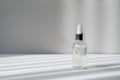 Serum in transparent bottle with white and silver cap on the grey background in with light and shadow stripes. Essence Royalty Free Stock Photo