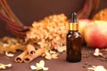 Serum in unbranded brown glass bottle with pipette, cinnamon, autumn apples and dry hydrangea flowers on dark brown background.