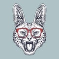 Serval angry hand drawn wearing a glasses