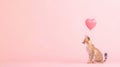 Serval cat with heart balloon Royalty Free Stock Photo
