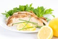 Serve cold lemon chicken Royalty Free Stock Photo