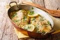 Served baked trout fillets with garlic butter sauce, lemon and p