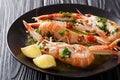 Served boiled langoustines, Dublin Bay prawn, scampi with lemon