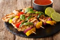 Served grilled chicken kebab skewers with vegetables with sauce, herbs and lime closeup on a slate plate. horizontal Royalty Free Stock Photo