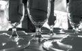Served table with glasses. Clean diningware on table black and white photo