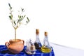 Served table on isolated background Royalty Free Stock Photo