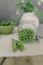 Served table with vases with flowers Royalty Free Stock Photo