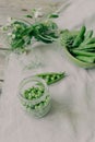 Served table with vases with flowers Royalty Free Stock Photo